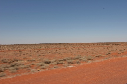 IMG 3558