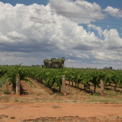 Mildura