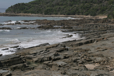 IMG 4761