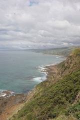 IMG 4850
