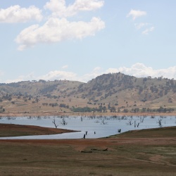 Corryong
