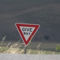 IMG 4852