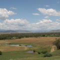 IMG 4984
