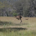 IMG 4921