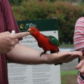 IMG 5504