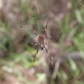 IMG 5704